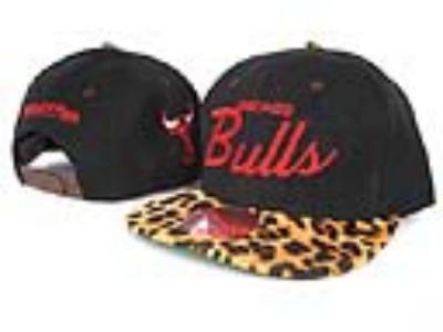 NBA hats-419